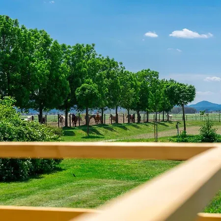 Kemp Horse Glamping Park