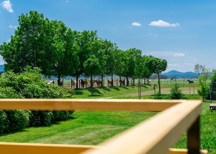 キャンプ場 Horse Glamping Park